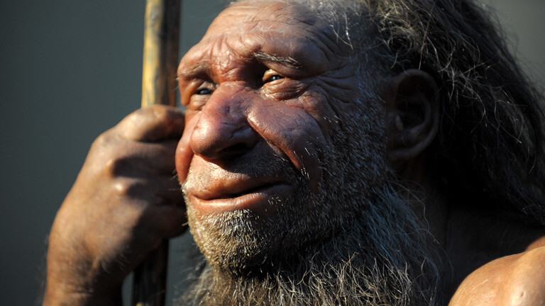 Warum Ist Der Neandertaler Ausgestorben Neandertaler: Warum sie ausgestorben sind · Dlf Nova