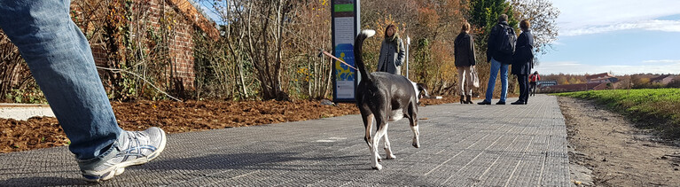 Eine Straße aus Solarmodulen in Erftstadt.