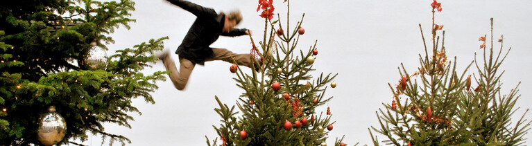 Weihnachtsbaum auf einem Boot