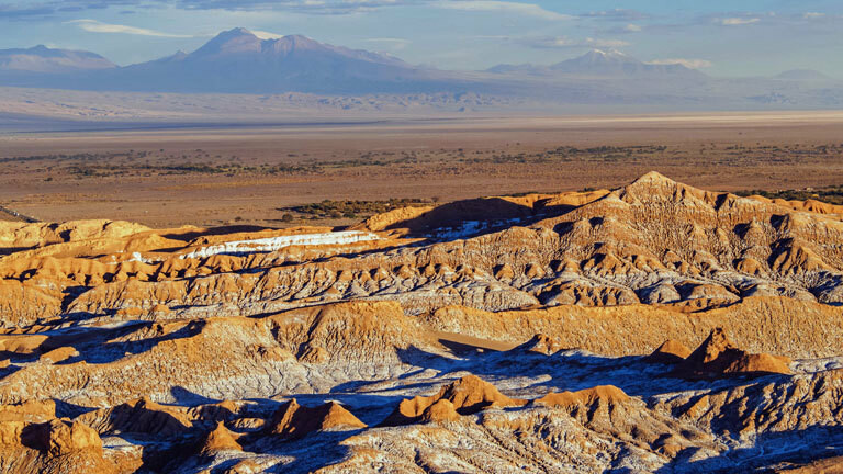 Atacama Das steckt hinter der Blütenpracht in der Wüste · Dlf Nova