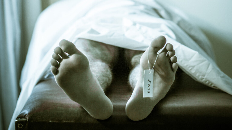 Verwesung: Tote riechen nach 43 Stunden anders · Dlf Nova