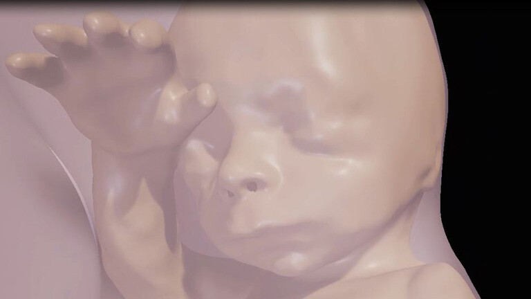 3D-Bild eines 26 Wochen alten Fötus.