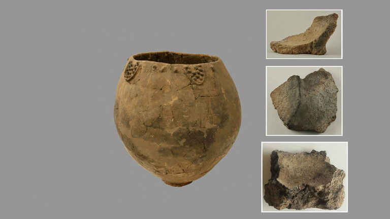 Weinkrug und Tonscherben mit Traubenrückständen