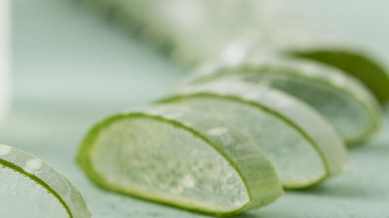 Pflanzenabflle: Insektenschutz aus Aloe Vera  Dlf Nova