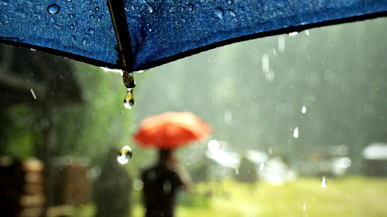 WasserKreislauf Regen transportiert MeeresViren · Dlf Nova