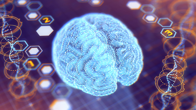 Grafische Darstellung eines Gehirns