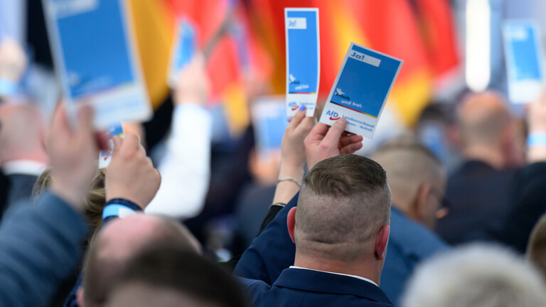 Delegierte stimmen auf dem Landesparteitag der AfD Sachsen-Anhalt in Magdeburg ab und halten Stimmkarten der AfD in die Höhe.