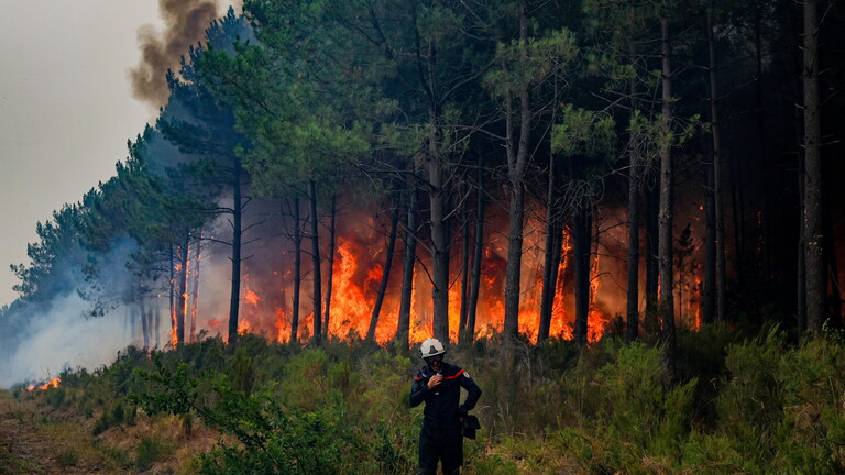 Ein Feuerwehrmann steht vor einem brennendem Waldstück