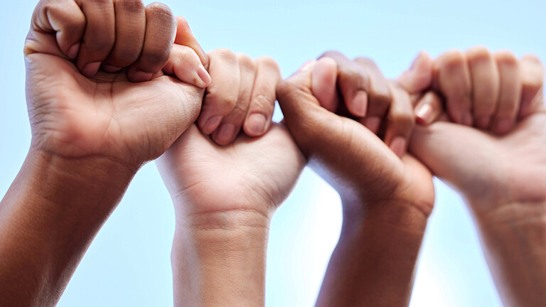 Literatur-Der-ehrliche-Finder-von-Lize-Spit