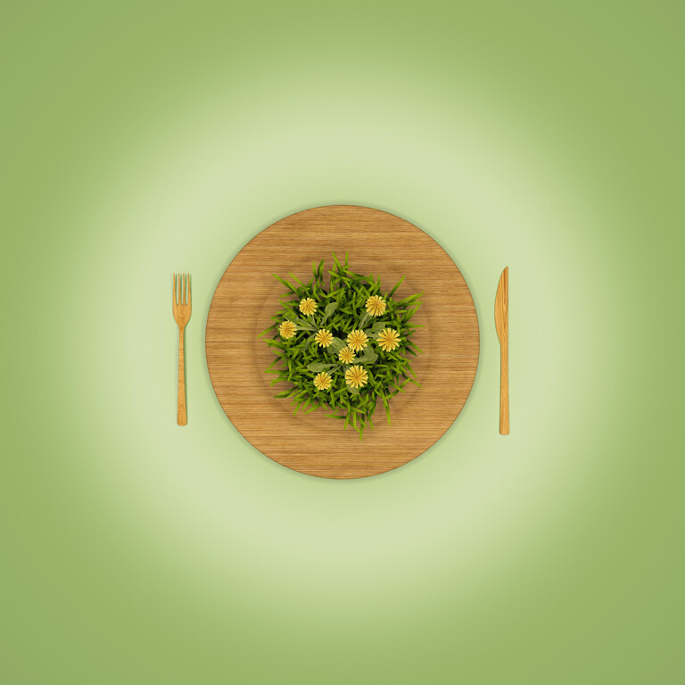 Bye-bye-Wiener-Schnitzel-sterreich-bietet-vegetarische-Kochausbildung-an