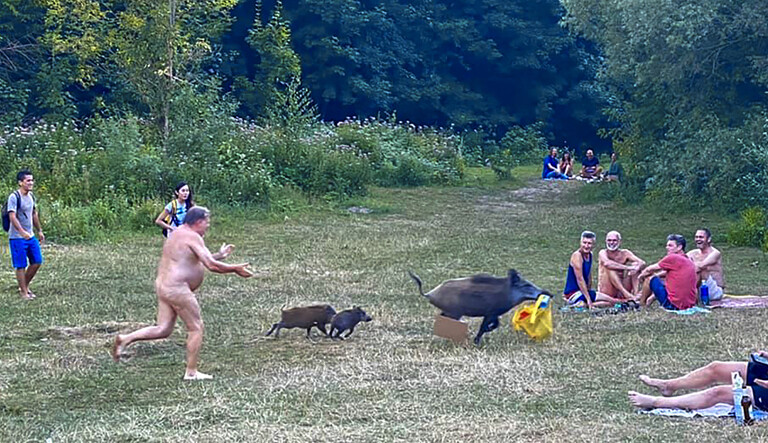 Nackter Mann rennt am Teufelsee einer Horde Wildschweine hinterher