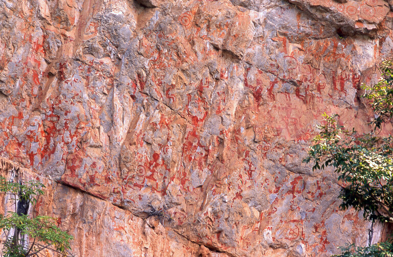 Ancient Rock Art Analysis Reveals Human and Animal Blood Composition