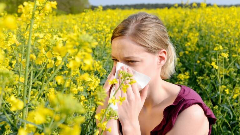 Allergien-Keine-Pause-mehr-f-r-Allergiker-