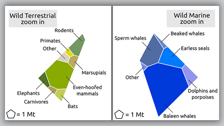 Eine Grafik zeigt die Biomasse aller wildlebenden Säugetiere auf der Welt