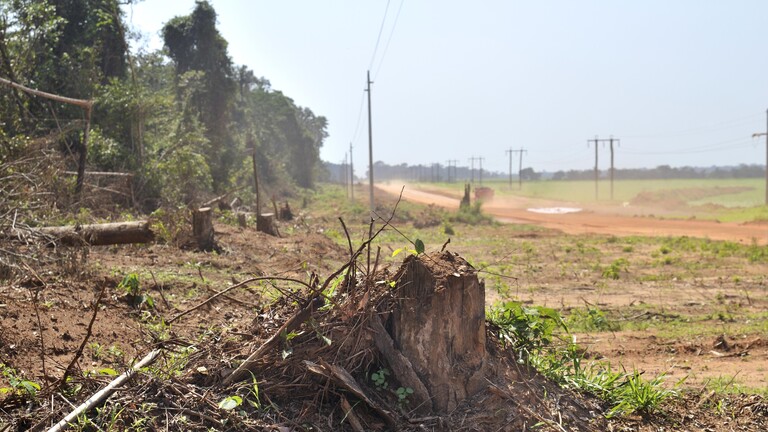 Abholzung des Amazonas Regenwaldes (Brasilien, 2009)