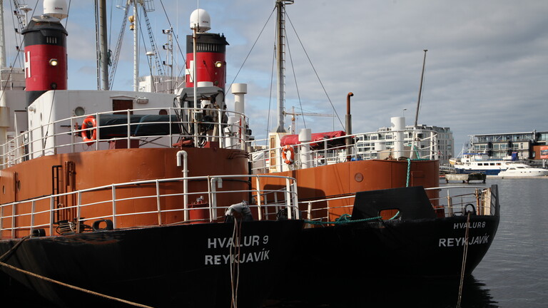 Zwei Schiffe des Walfangunternehmens Hvalur liegen in Reykjavik vor Anker (Island, 23.08.2019)