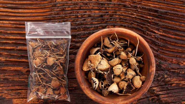 Getrocknete Psilocybin-Zauberpilze in einer Plastiktüte und Holzschale auf einem Holztisch