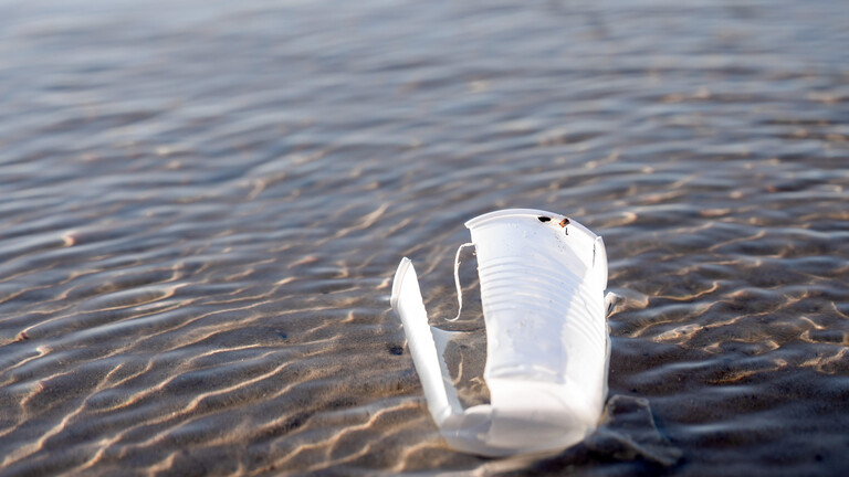 Ein kaputter Plastikbecher liegt im Wasser im Sand.