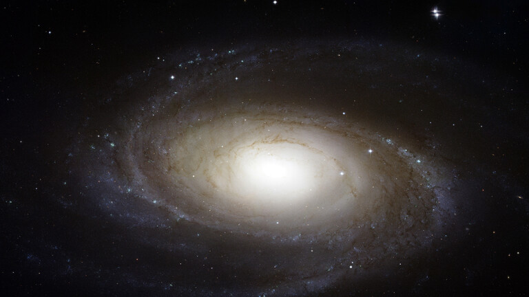 Die helle Spiralgalaxie M81, aufgenommen vom Hubble-Teleskop