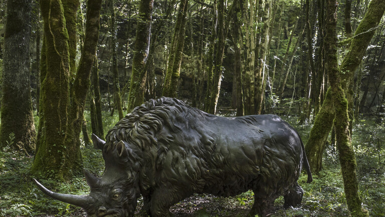 Wollnashorn in grafischer Dartstellung