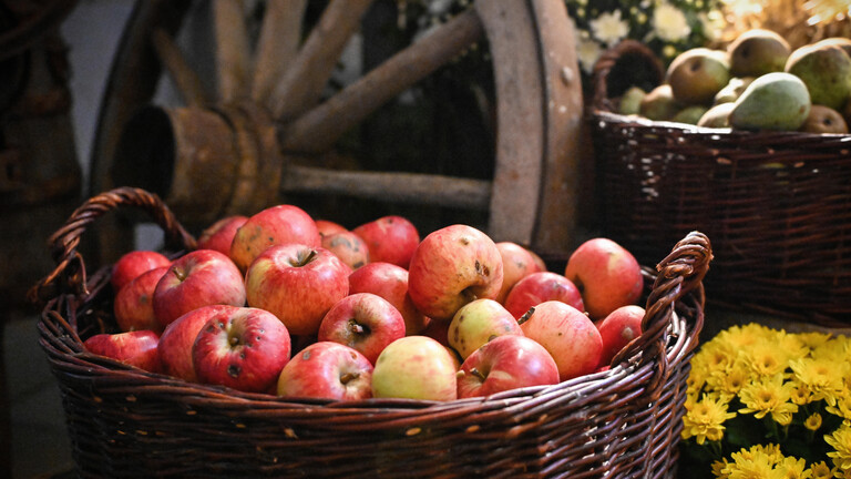 Äpfel im Korb