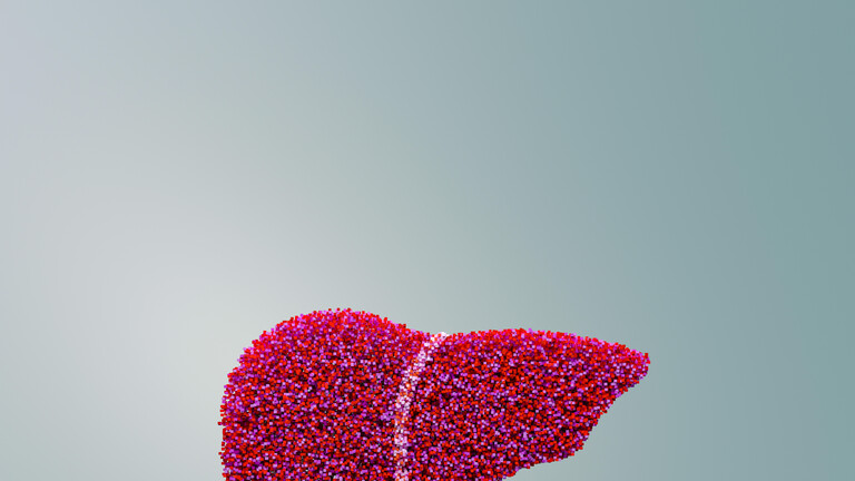 3D-Darstellung einer Leber aus bunten Pixeln,