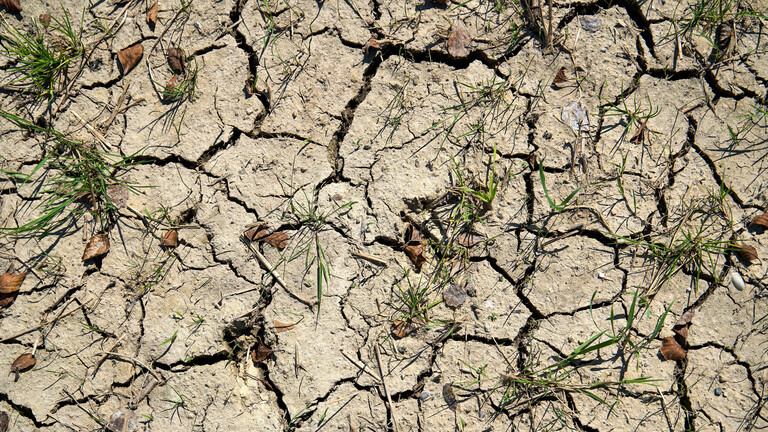 Ein vertrocknetes Feld