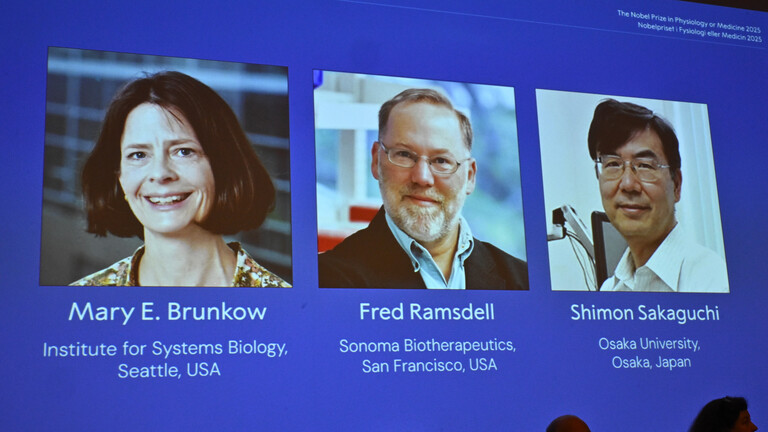 Mary E Brunkow, Fred Ramsdell und Shimon Sakaguchi erhalten den diesjährigen Nobelpreis für Medizin oder Physiologie. Die Nobelversammlung am Karolinska Institutet gab am Montag (06.10.25) den Nobelpreis für Physiologie oder Medizin bekannt.