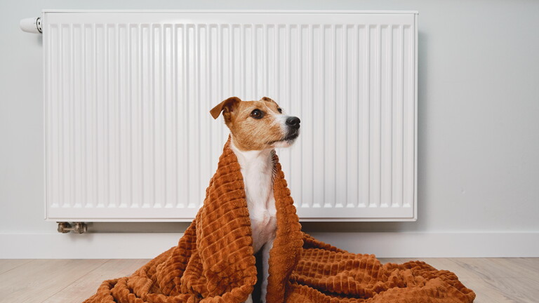 Hund in Decke gehüllt sitzt vor Heizung