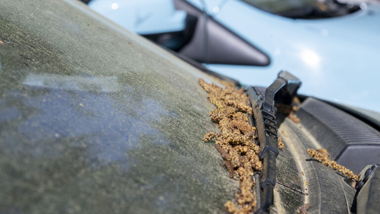 Pollen und Blütenstaub auf einer Windschutzscheibe eines Autos, am Mittwoch, 22. April 2026 in Zürich.