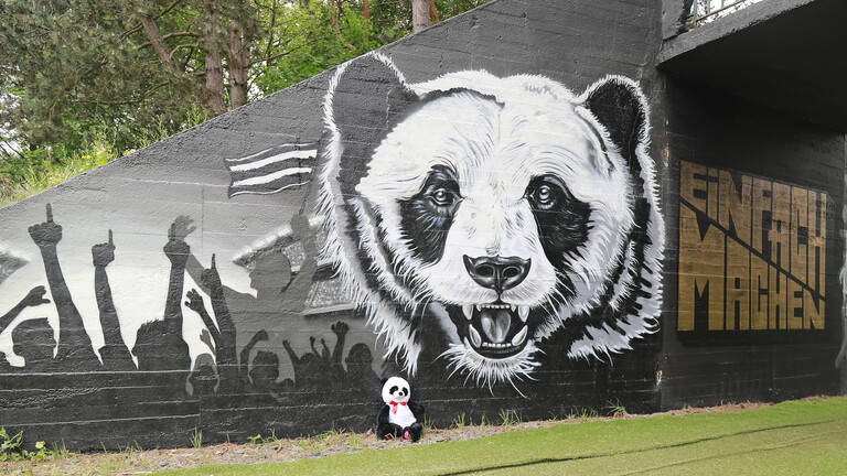 Im Zentrum steht das Maskottchen "Panda" der SV 07 Elversberg