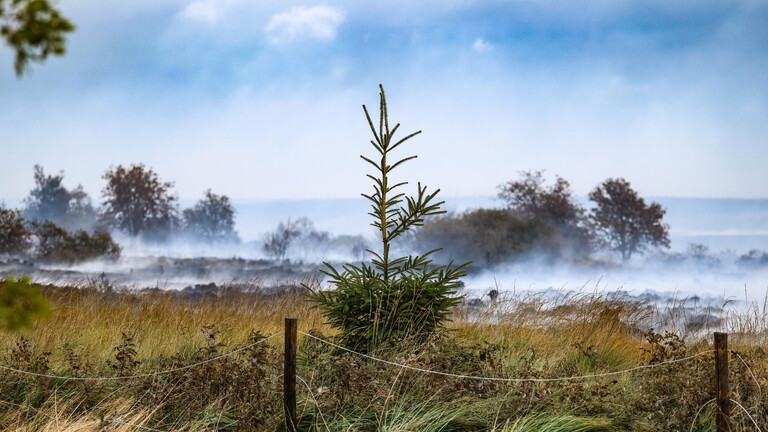Verbrannte Landschaft und Rauchschwaden im Hohen Venn an der deutsch-belgischen Grenze.