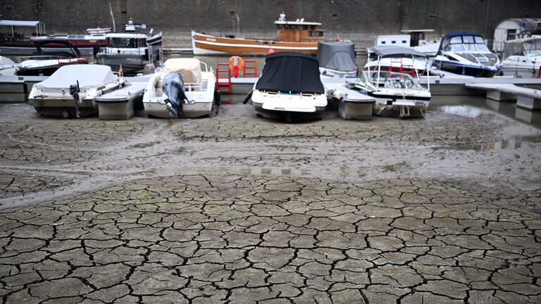 Boote liegen im Rheinauhafen wegen des niedrigen Wasserstandes auf dem Grund des Hafenbeckens.