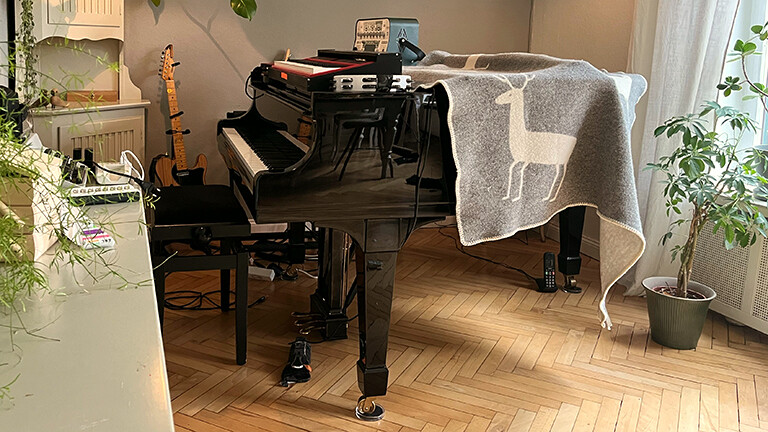 ein Foto des alten Steinway Flügel des Musikers Jonas Nay (Pudeldame)