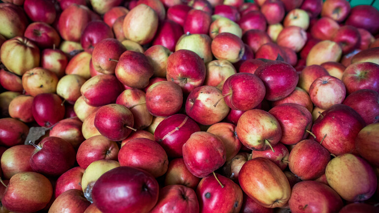 rote Äpfel