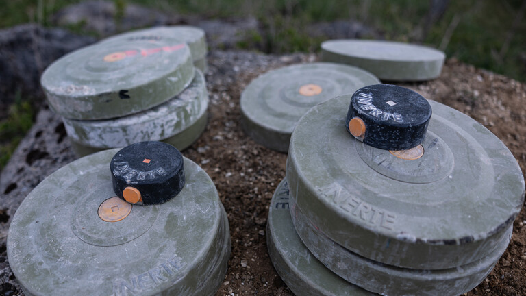 Antipersonenminen im Wald