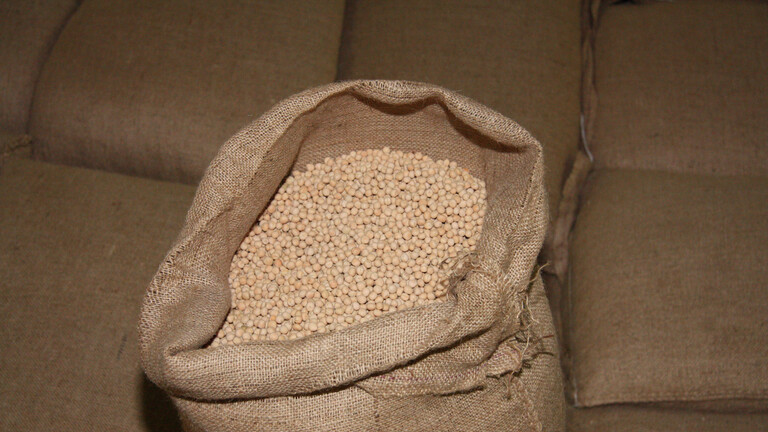 Ein offener Sack mit Erbsen, dahinter viele weitere Säcke