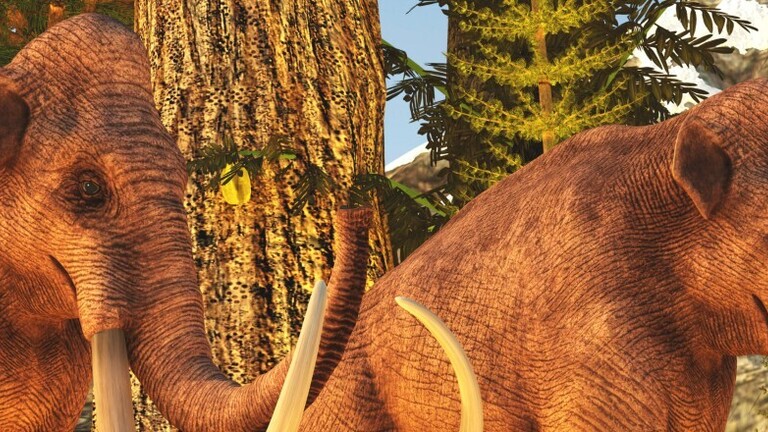 Ein Paar kolumbianischer Mammuts während des Pleistozäns in Nordamerika.