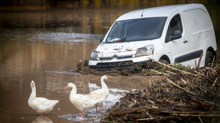 Foto eines weißen Lieferwagens der nach einem schweren Unwetter im spanischen Katalonien im Juli 2025 in einer Überschwemmung steckt, davor stehen drei weiße Gänse.