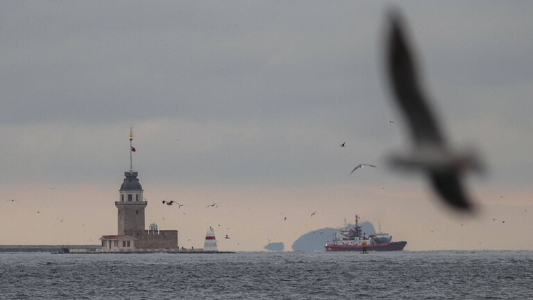 Möwen, Delfine und Schiffe am Bosporus, der Meerenge zwischen Asien und Europa.