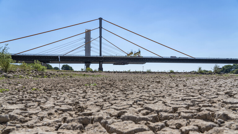 In Duisburg hat der Rhein im Sommer 2022 extremen Niedrigstand. Das rechte Rheinufer ist vertrocknet, im Hintergrund ragt eine Rheinbrücke in den blauen Himmel.
