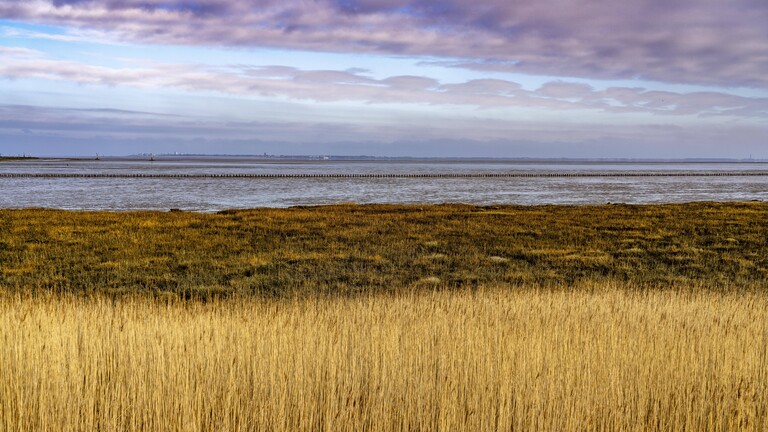 Das Wattenmeer, Ostfriesland, bei Niedersachsen, Blick zur Insel Norderney, Norddeich, Deutschland Wattenmeer