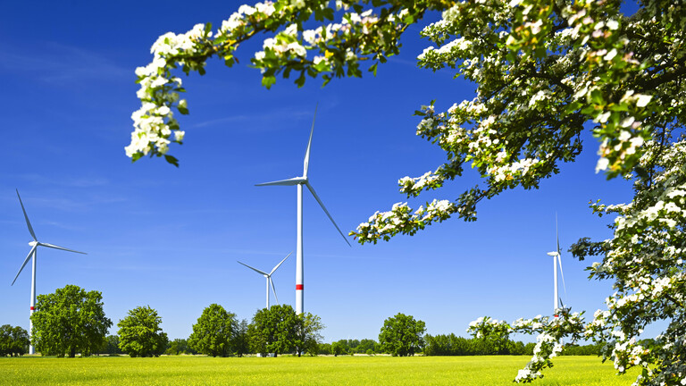 Windräder in den Vier- und Marschlanden, Hamburg, Deutschland