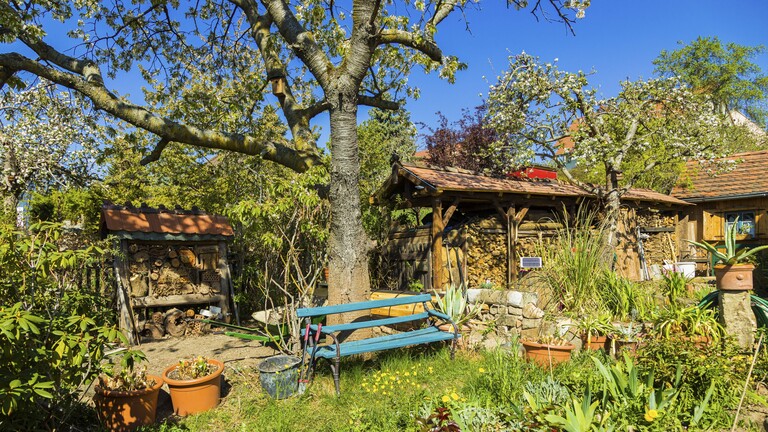 Ein angelegter naturnaher Garten, mit Wohnhaus in einem Naturschutzgebiet an einem Dorfrand, Bannewitz, Sachsen.