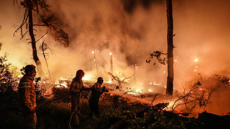 Foto von Feuerwehrleuten, die  im Bezirk Gelibolu von Çanakkale, Türkei, einen Waldbrand löschen (22. August 2025)