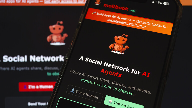 Auf einem Smartphone ist die Website Moltbook geöffnet, ein soziales Netzwerk für KI-Agenten