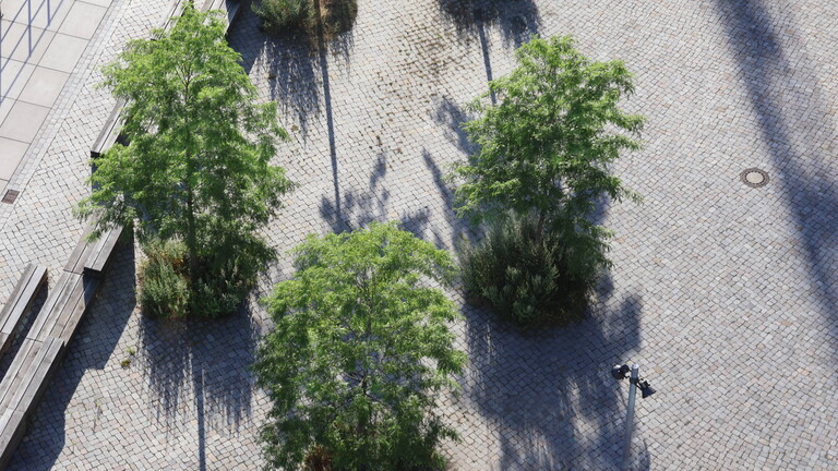 Hitze in der Großstadt , wie hier im Neubaugebiet mit wenigen Bäumen und Schatten in der Versiegelung in Hamburg