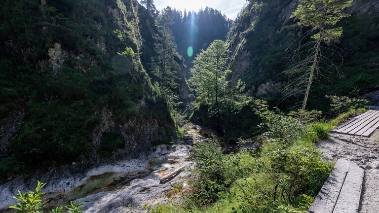 Wanderung entlang des Almbachs in der Klamm GER, Themenbild Natur, Almbachklamm bei Marktschellenberg