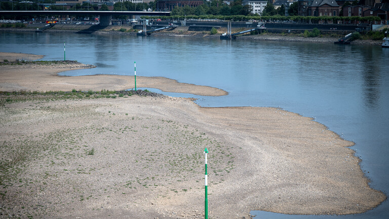 Was vom Rhein noch übrig blieb: Niedrigwasser legt gegenüber der Düsseldorfer Altstadt Sandbänke frei