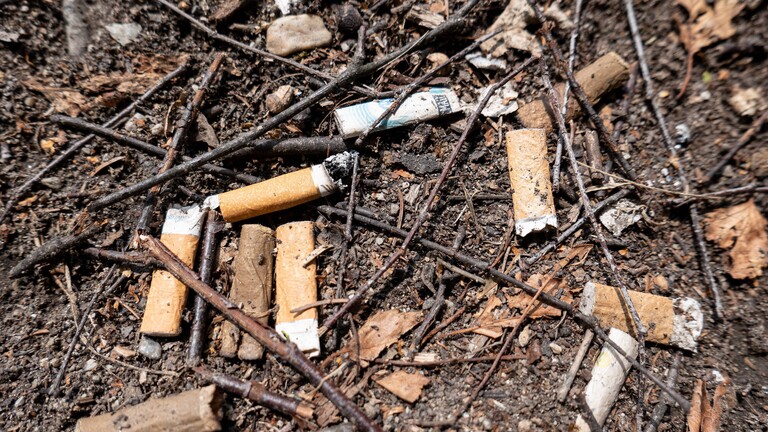 Foto von älteren und neueren Zigarettenstummeln, die auf einem erdigen Boden liegen